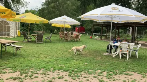 tag-der-offnen-tuer-2 (1)