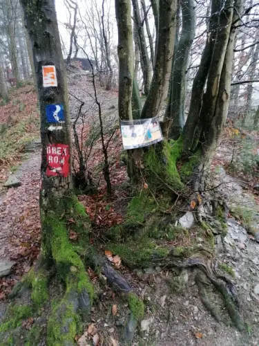 Aufgaben-um-die-Nikolausgeschichte