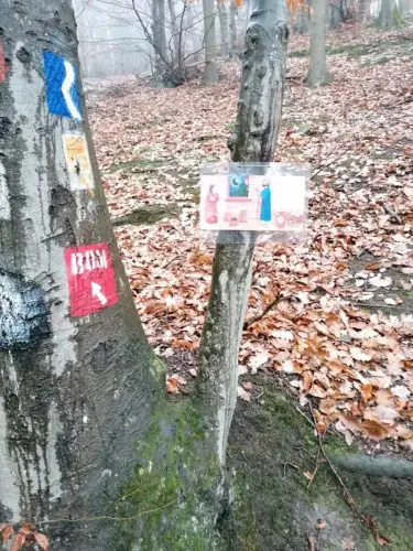 Das-Traumpfaedchen-in-Bendorf-Sayn