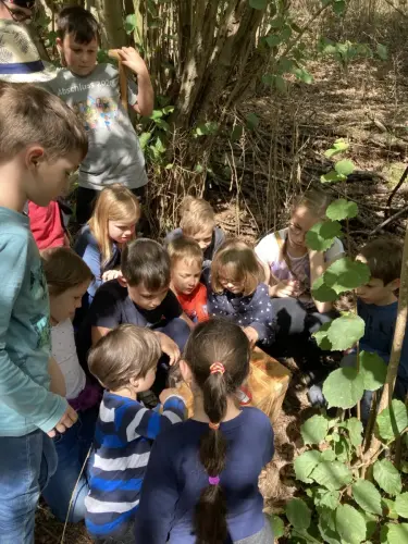 20200906 094631233 iOS